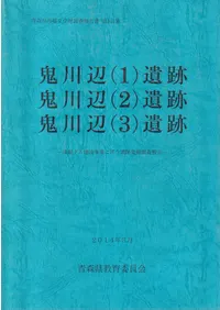 ������(1)���ס�������(2)���ס�������(3)����