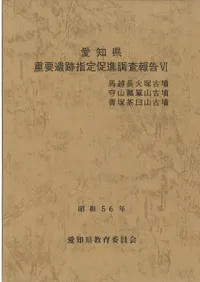 ϱĹ͸ʯ黳ɻýʯ㱱ʯ