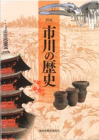 図説 市川の歴史