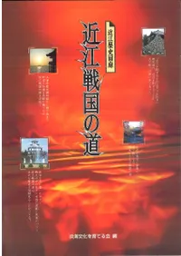 �Ṿ����ƻ