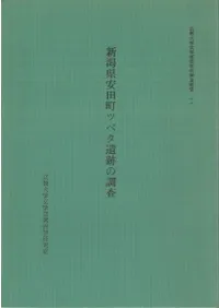 ���㸩����Į�ĥ٥����פ�Ĵ�� 