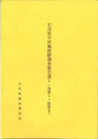 ������������Ĵ��������3��·