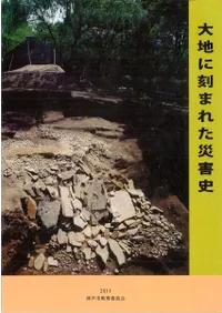 Ϥ˹ޤ줿ҳˡøϩ̺20ǯ