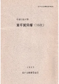 ��ʿ�쳭�� 10��