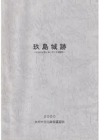 ������ס����������������ȼ��ȯ��Ĵ��