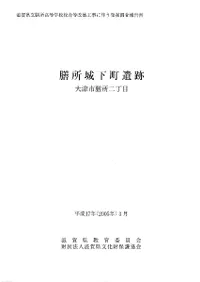 ����벼Į���ס����Ż����������ܽ��