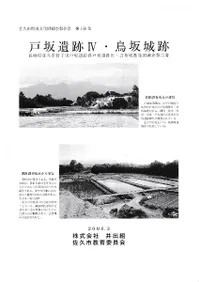 �ͺ����IV��Ļ�����  Ĺ����׻Կ����ĸͺ���׷��ͺ����IV��Ļ�����ȯ��Ĵ������