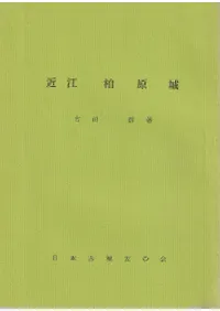 Ṿ𸶾