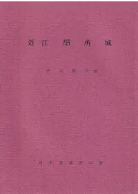 Ṿ