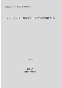 ���롦�롼�������Ϥˤ�����͸ų�ŪĴ����3