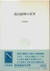 ���ݿ�ʪ������