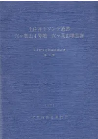 �ں���ߥ���ǰ��ס��ꥱ�ջ�4��ʯ���ꥱ�ջ�ʯ�跲