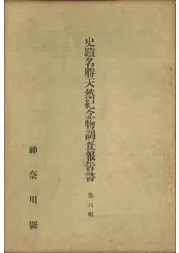 ����̾��ŷ����ǰʪĴ��������6��