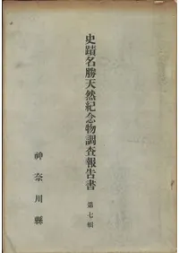 ����̾��ŷ����ǰʪĴ��������7��