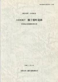 ���ĸ��벼�󴳶�Į������8����