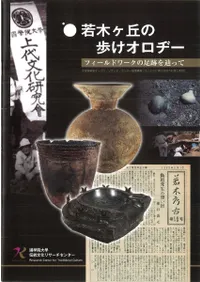 ڥ֤⤱¡եɥ­פéä