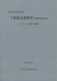 下森鹿島遺跡群 発掘調査報告書 A・B・C地区の調査
