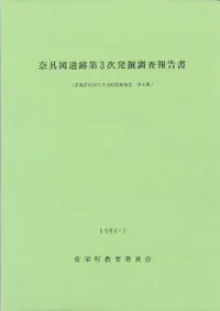 ��񲬰�����3��ȯ��Ĵ������