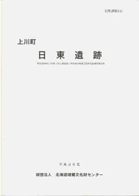 ����Į �������