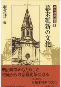 �����ݿ���ʸ��