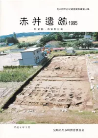 �ְ���ס�1995�������������ȿ�����