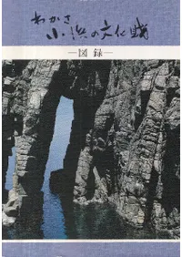 狼ͤʸ  Ͽ