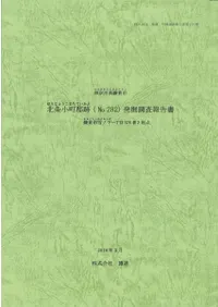 ̾Įš(no. 282)ȯĴ񡡳һβ3762