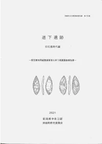 道下遺跡 旧石器時代編
