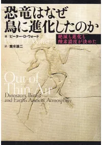 εϤʤĻ˿ʲΤ : Ǥʲǻ٤᤿  