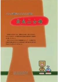 륬ǽβ̲롡ʯ