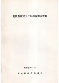 ��븩��¢ʸ����Ĵ������3