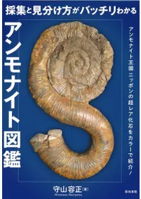 νȸʬХå狼륢ʥȿ޴