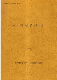 �����(����)