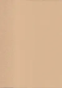 ���������������η���Ȱ���