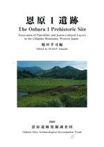 弥生時代の大阪湾沿岸 河内地域史・弥生編 / 村川 行弘 編 小林 博 編