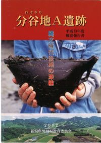 須恵器生産の出現から消滅 猿投窯・湖西窯編年の再構築 1～5分冊セット