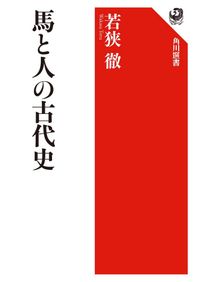 桜井茶臼山古墳の研究 : 再発掘調査と出土遺物再整理 / 岡林孝作・東影