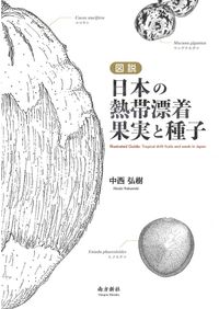 日本古代史の可能性 : 観念・継承・秩序 / 三田古代史研究会 編集