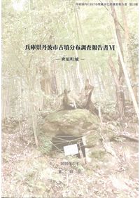 国指定史跡二子塚古墳発掘調査報告2 / | 歴史・考古学専門書店 六一書房