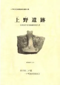上野遺跡 昭和59年度発掘調査報告書 / | 歴史・考古学専門書店 六一書房